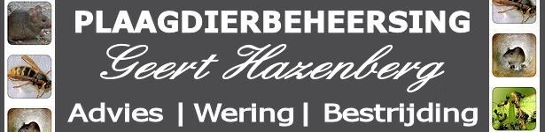 logo Plaagdierbeheersing Geert Hazenberg